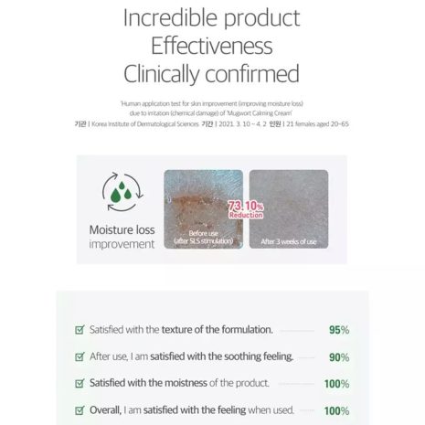 Round Lab Mugwort Calming Cream κρέμα προσώπου Ενυδατική κρέμα με Centella Asiatica