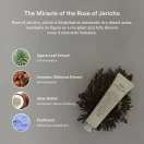 Abib Jericho Rose Creme 75ml – Κρέμα Ενυδάτωσης Προσώπου