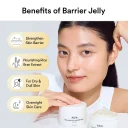 ABIB Rice Probiotics Overnight Mask Barrier Jelly 80ml για ενυδάτωση και ενίσχυση φραγμού επιδερμίδας