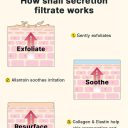 COSRX Advanced Snail Radiance Dual Essence 80ml ενυδατικό brightening essence