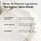 Anua Rice Enzyme Brightening Cleansing Powder 8