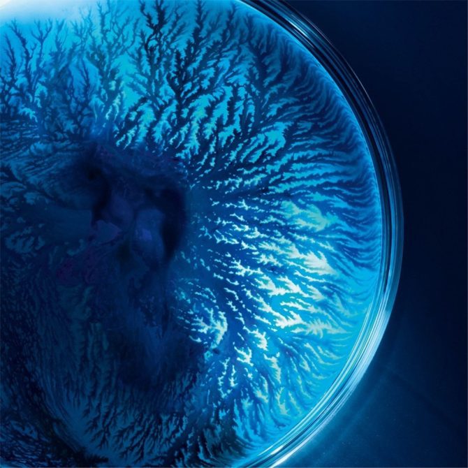 Biotherm Blue Retinol 5