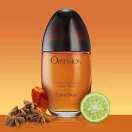 Calvin Klein Obsession Eau de Parfum 100ml – Αρωματική Ένταση για Όλο Την Ημέρα