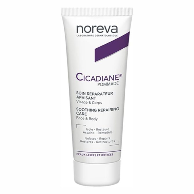 Noreva Cicadiane