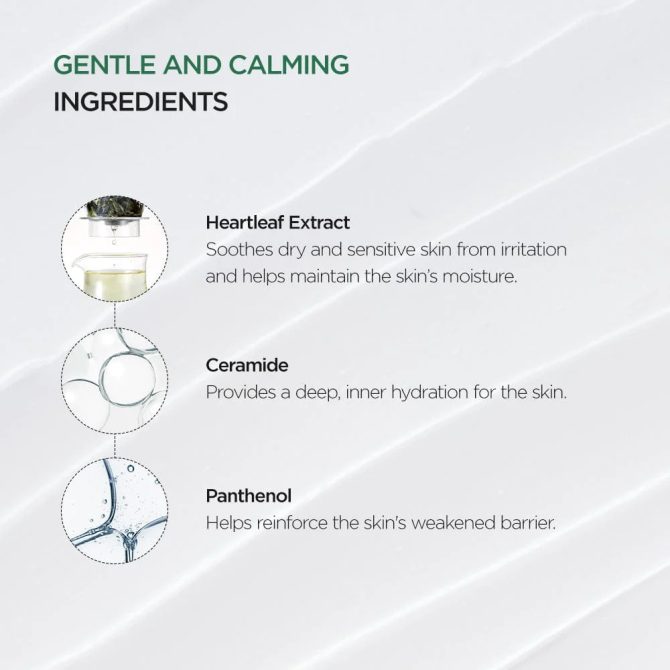 Anua Heartleaf 70% Intense Calming Cream